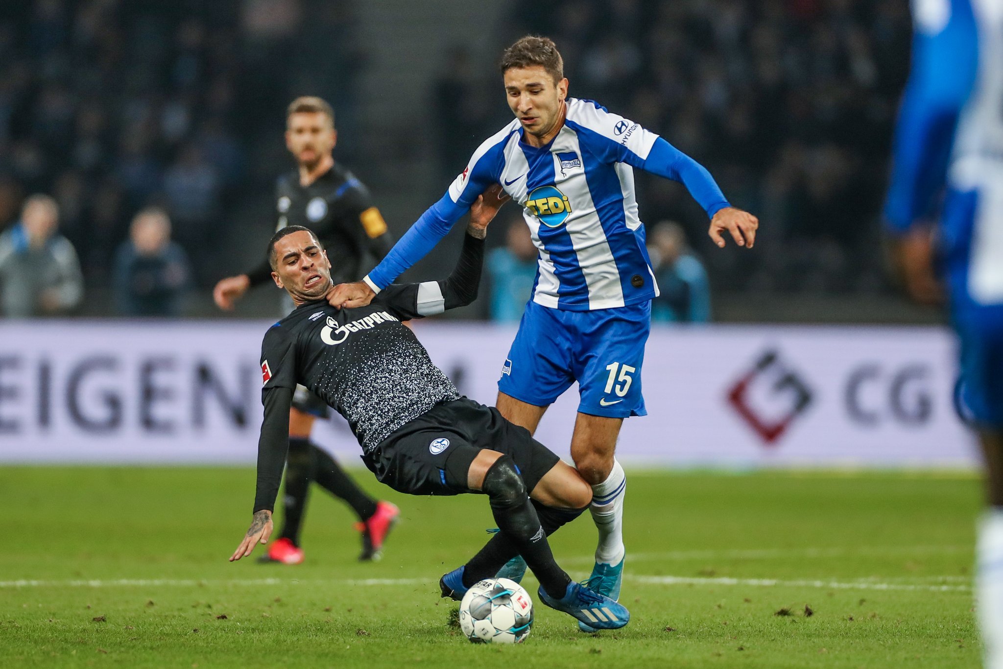 动物油脂精炼设备