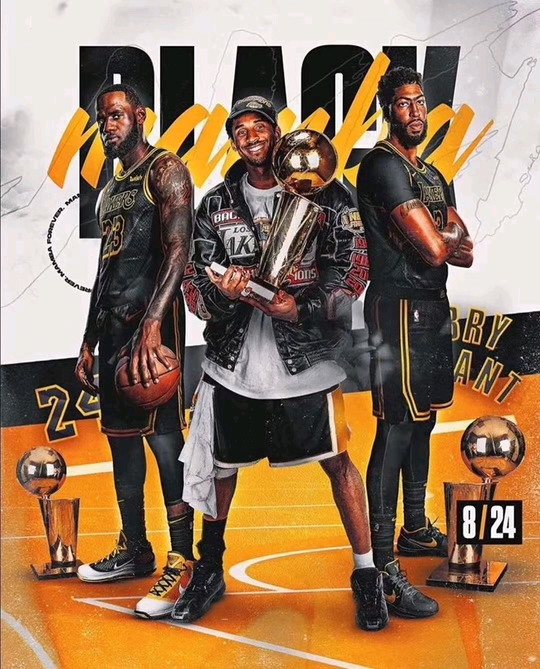 10吨植物油精炼设备