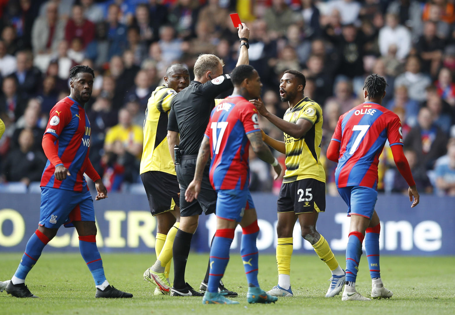 动物油脂精炼设备