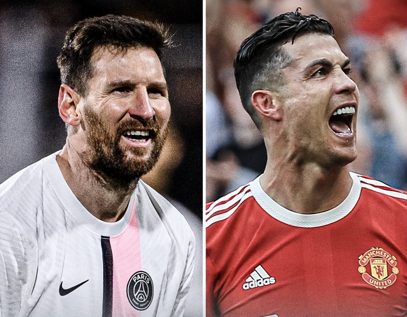 10吨植物油精炼设备