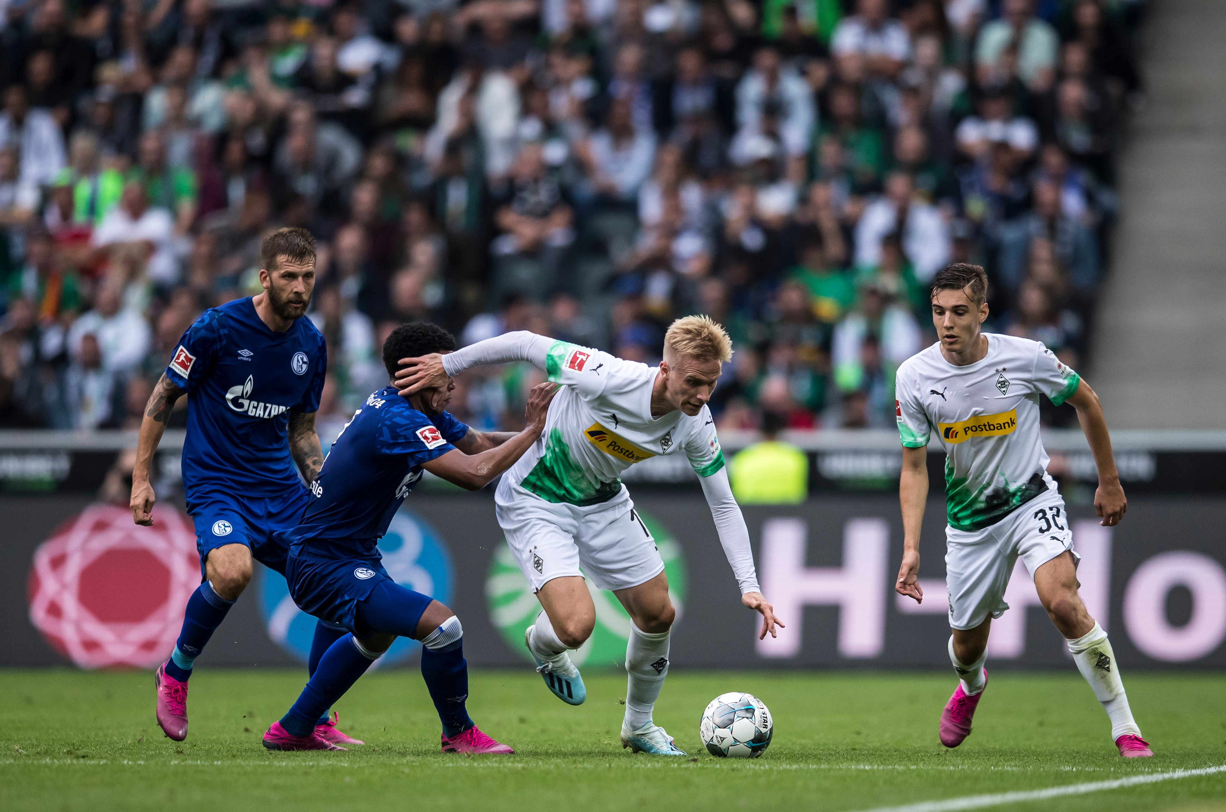 动物油脂精炼设备